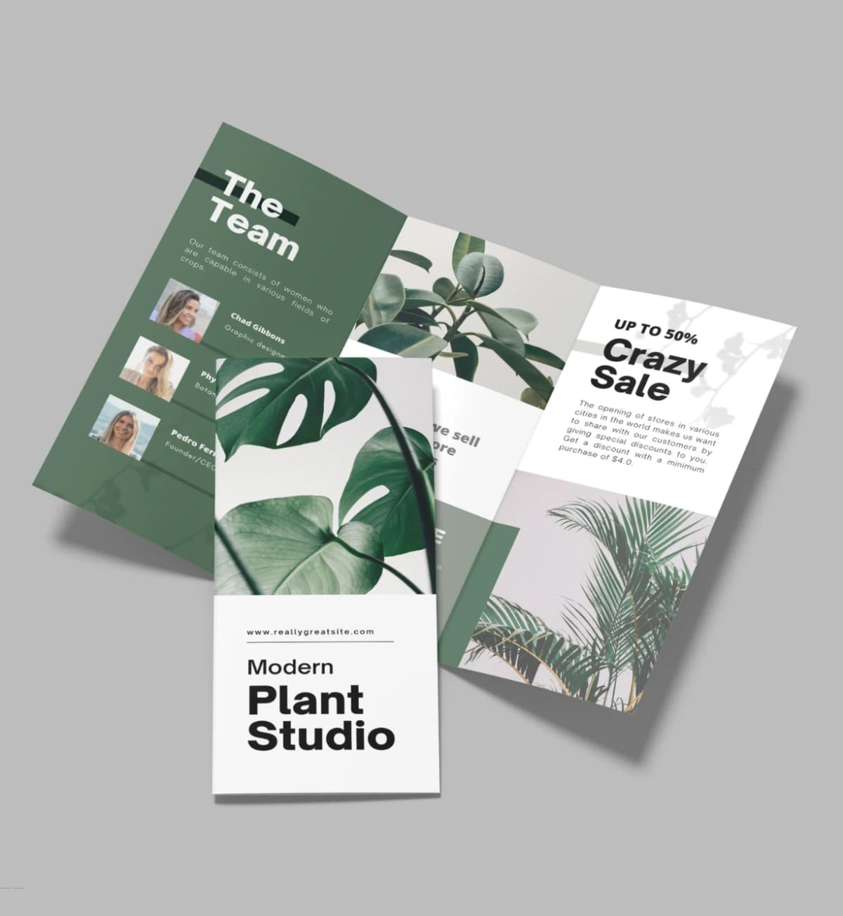 Trifold Brochures – Professional Brochure Printing Services