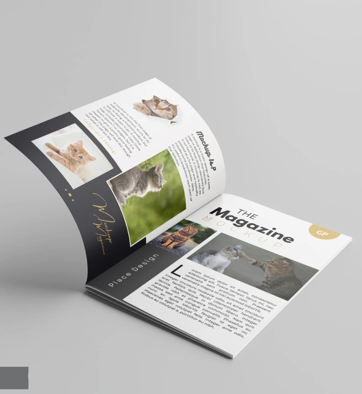 Custom Magazine Printing | Personalized Print Services